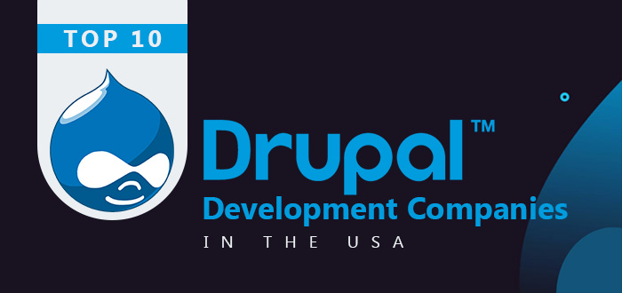 Top 10 Drupal Development Companies in the USA-TOPORGS