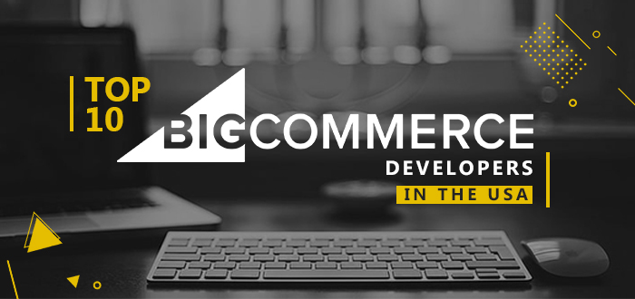 Top 10 BigCommerce Developers in the USA-Toporgs
